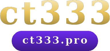 ct333 logo